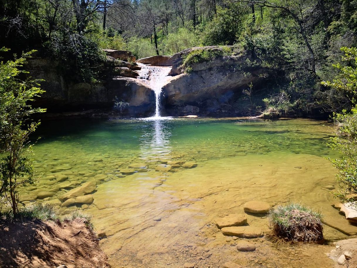 Restaurantes Ruta dels Set Gorgs de Campdevànol