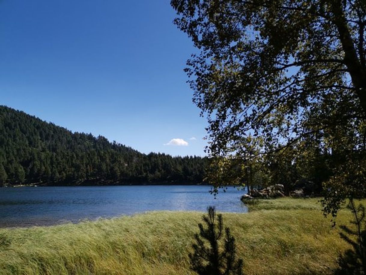 Restaurantes Restaurant du lac de Balcère