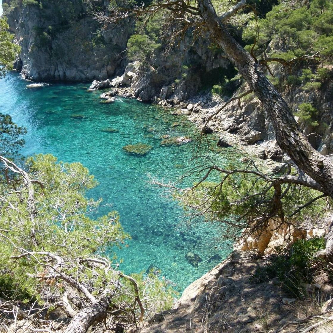 Lugares Cala Pedrosa