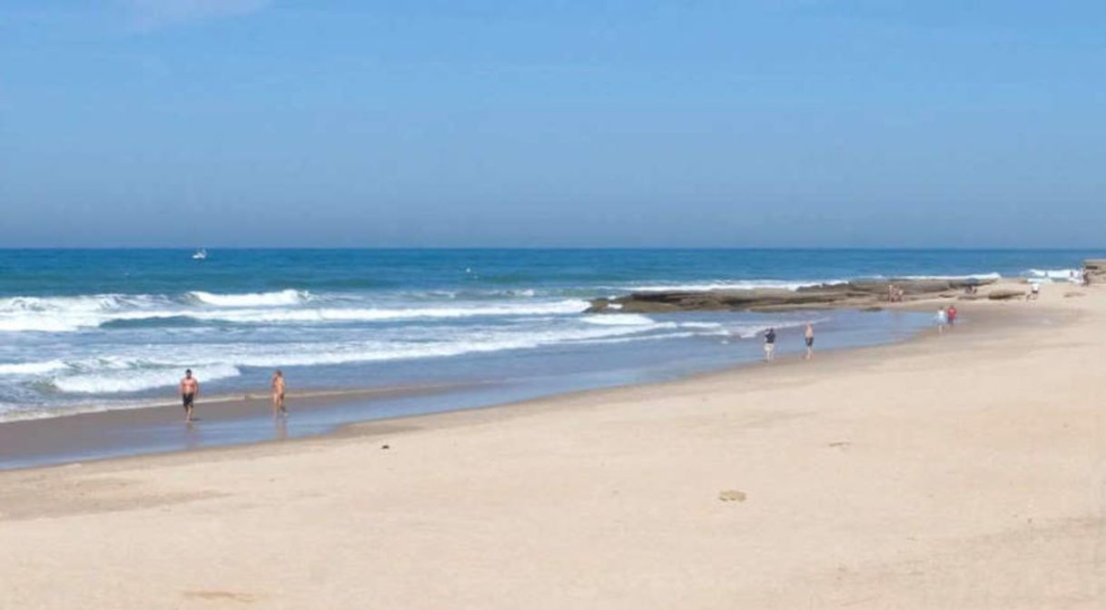 Place El Palmar