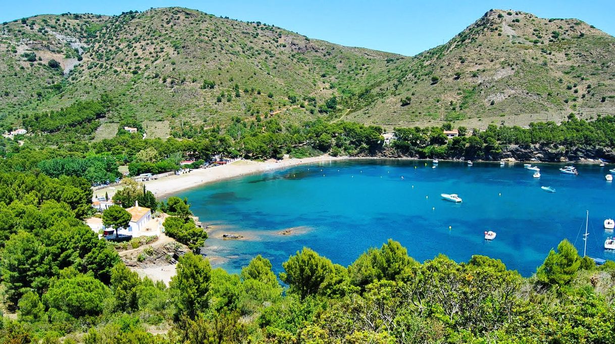 Place Cala Montjoi