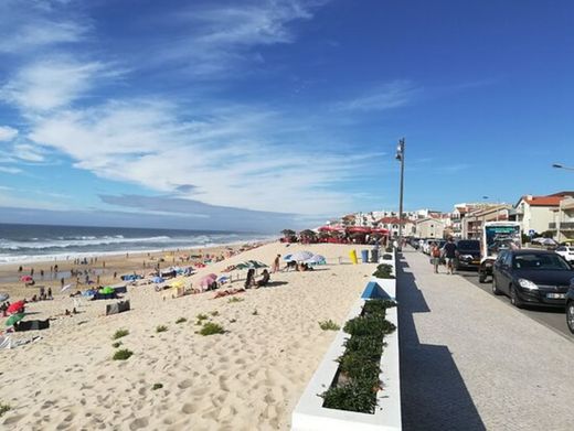 praia de pedrogão