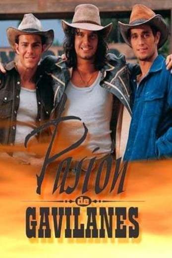 Pasión de Gavilanes