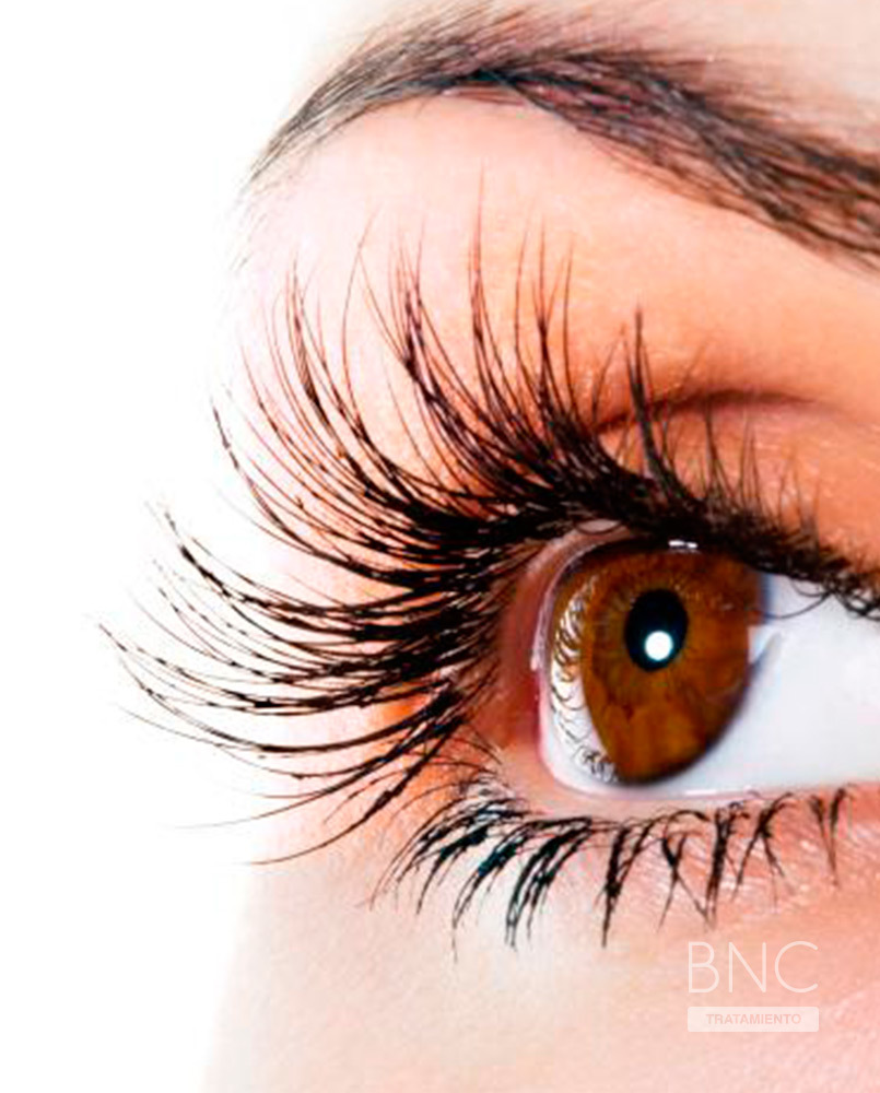 Places Extensiones de Pestañas y Diseño de Cejas - ClickLash&Brow