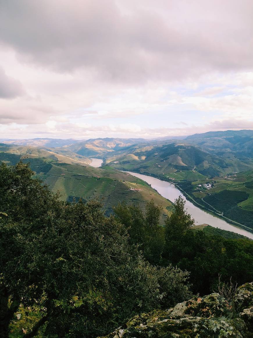 Place Miradouro São Leonardo de Galafura