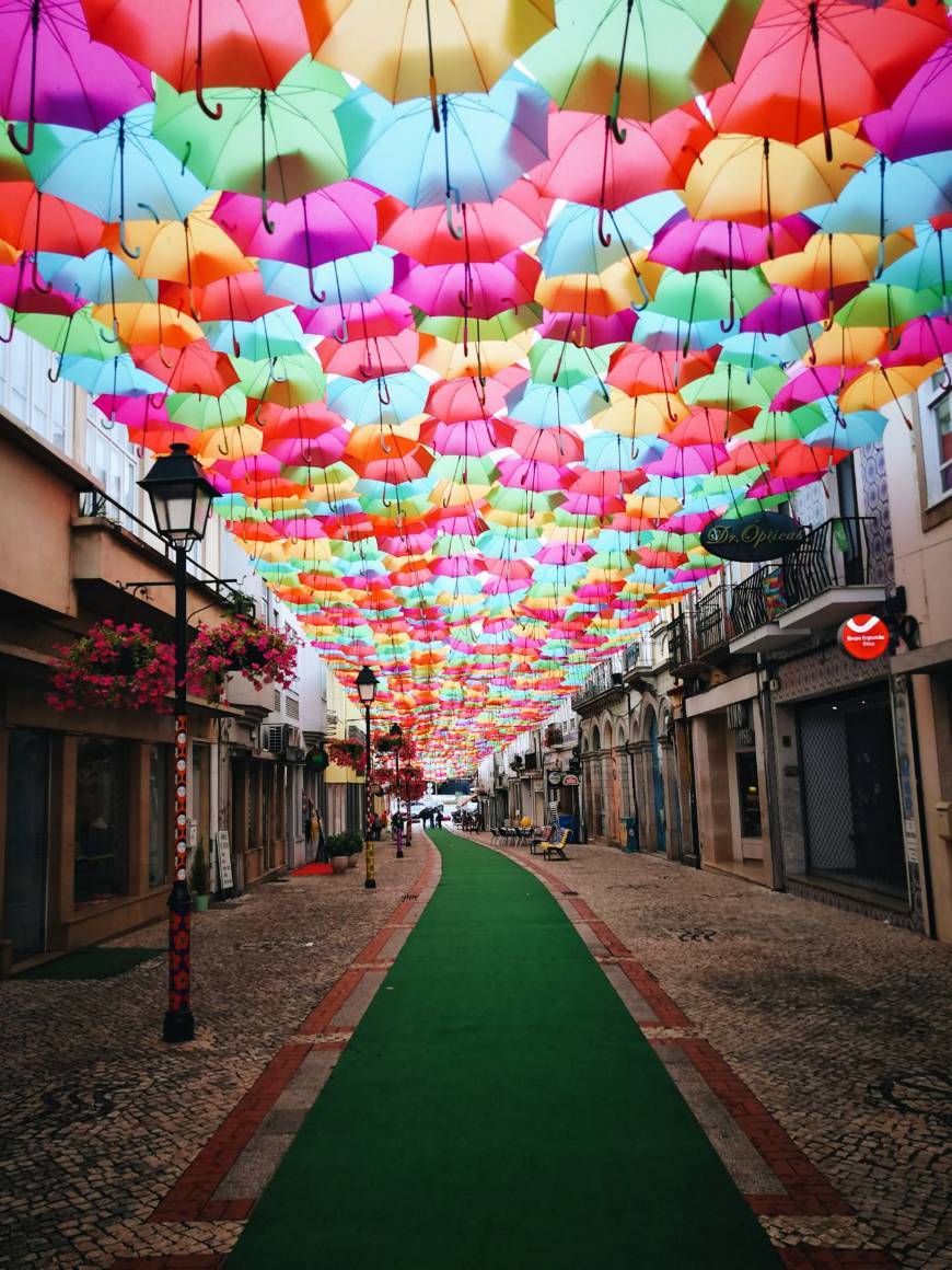 Place Umbrella Sky Project