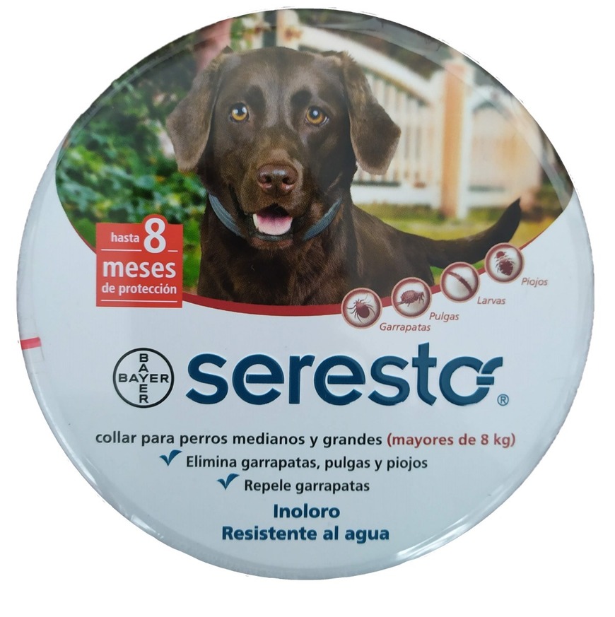 Social Collar para perros de hasta 8 kg.