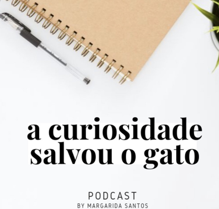 Social a curiosidade salvou o gato