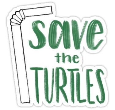 Moda SAVE THE TURTLES