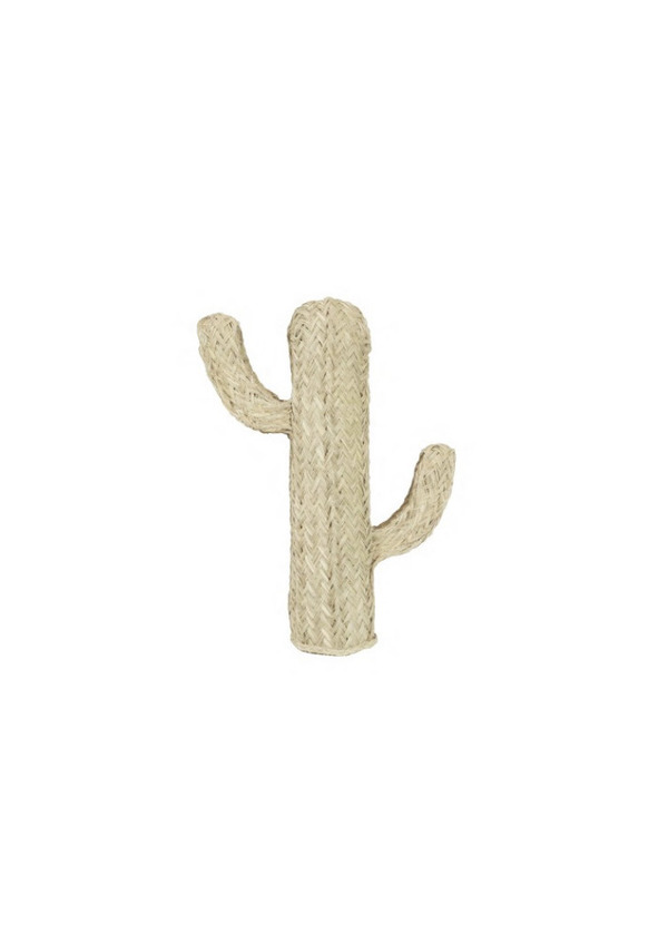 Producto Cactus de esparto