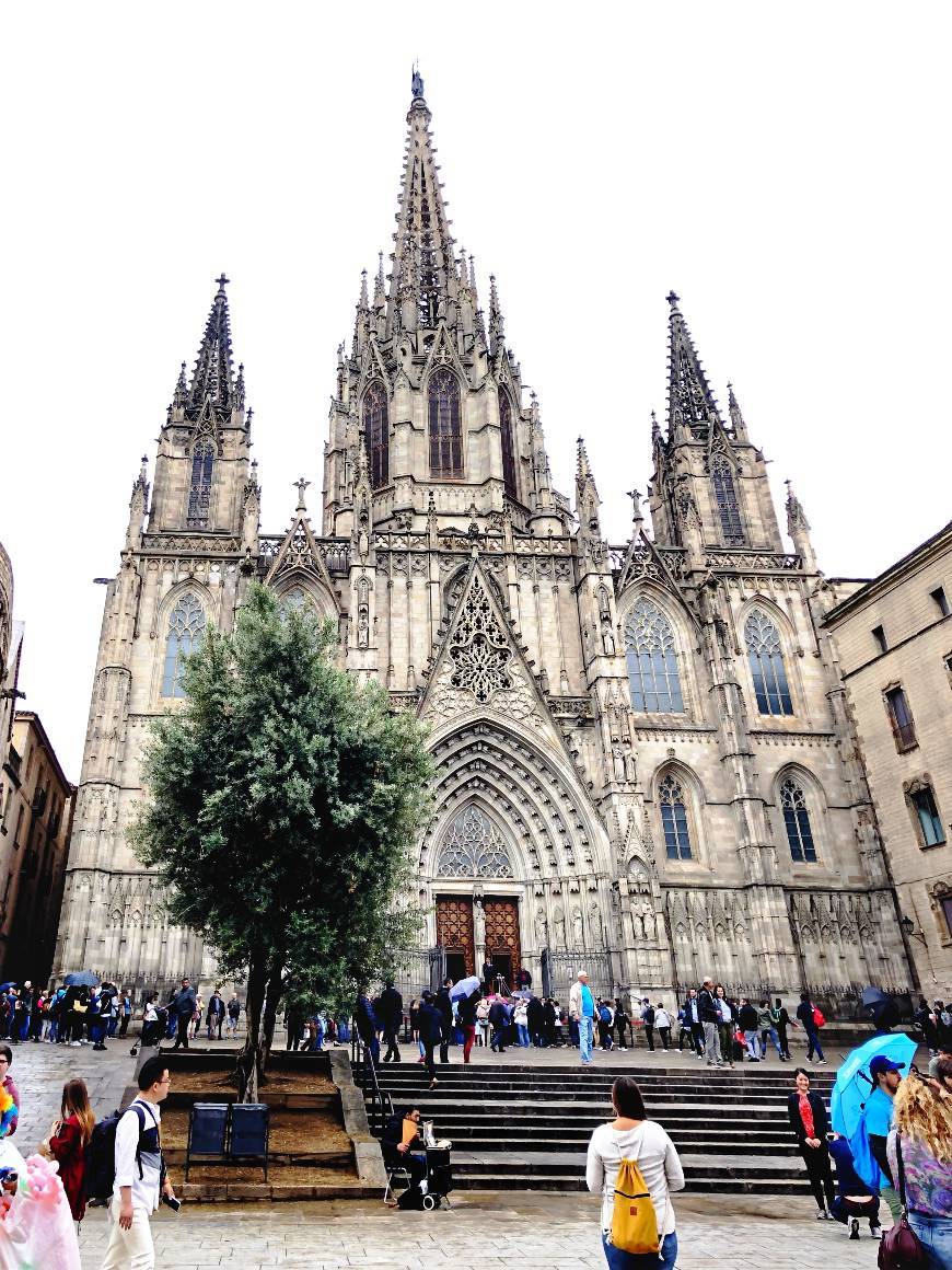 Lugar Catedral de Barcelona