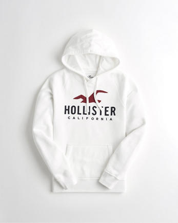 Fashion Hoodie Hollister 