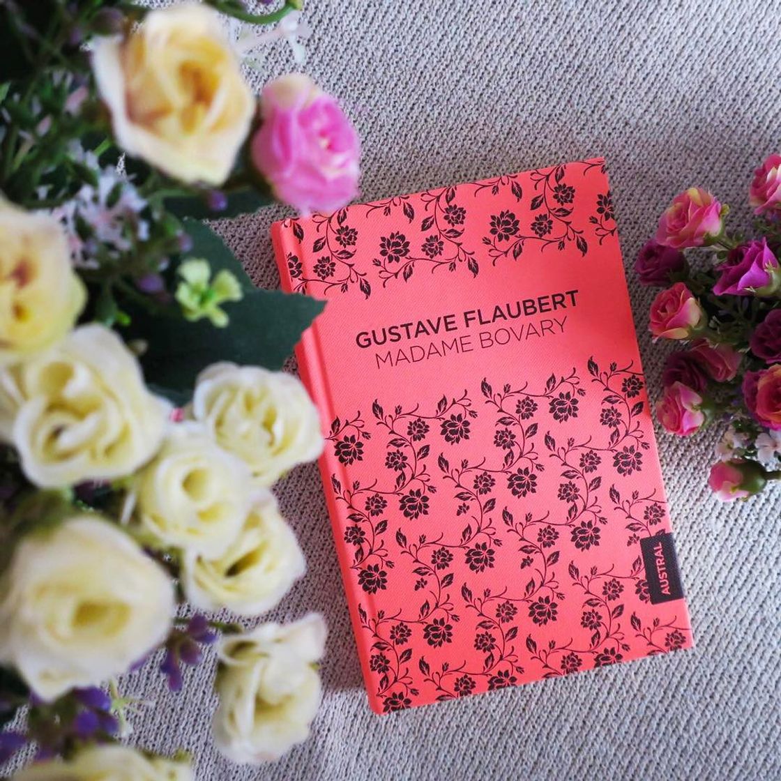 Book Madame Bovary (Austral Singular)