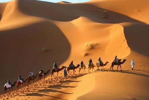 Tour do Deserto