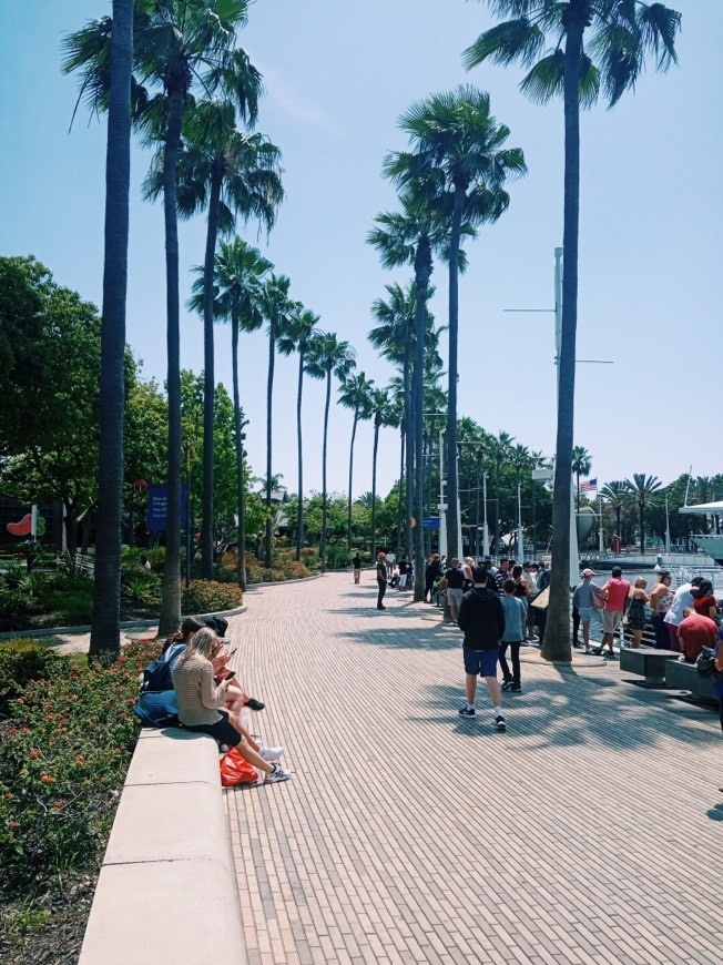 Place Long Beach