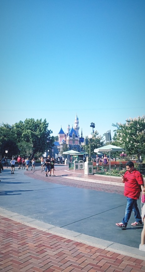 Place Disneyland