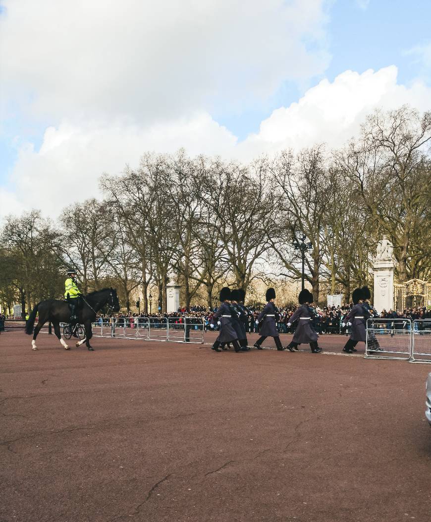 Place Buckingham Palace