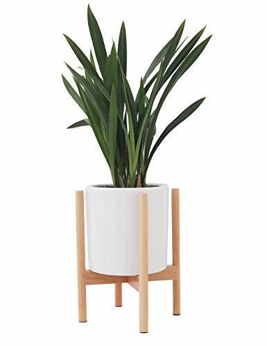 Social JYCRA Soporte para Plantas