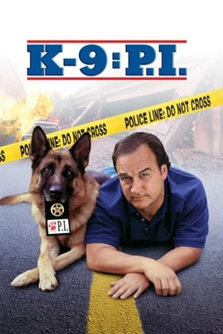 Movie K-9: Investigadores privados