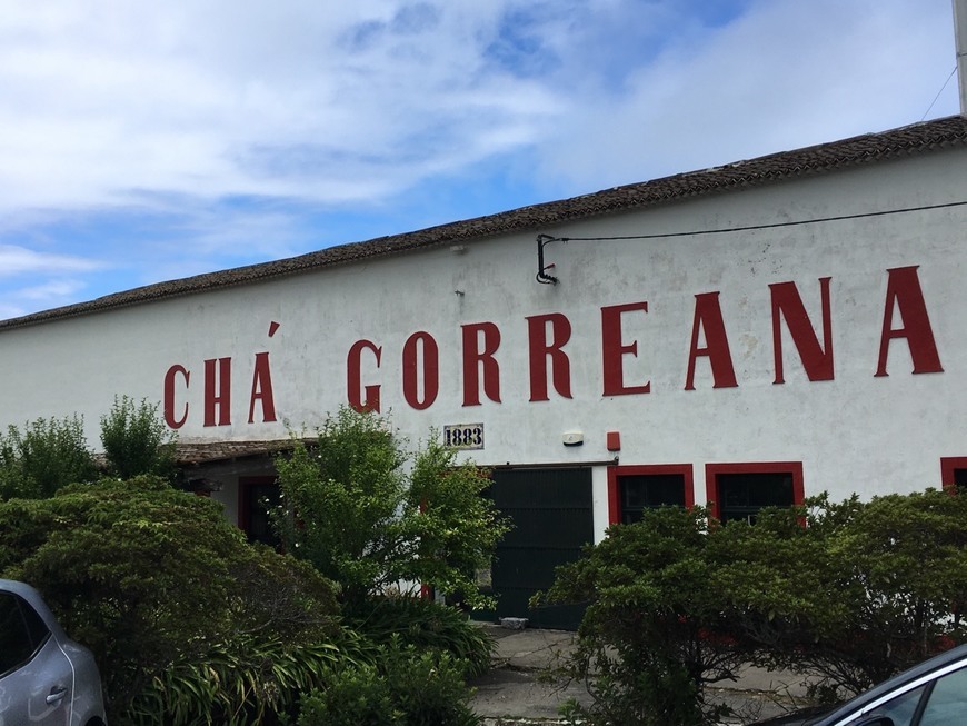 Lugar Chá Gorreana