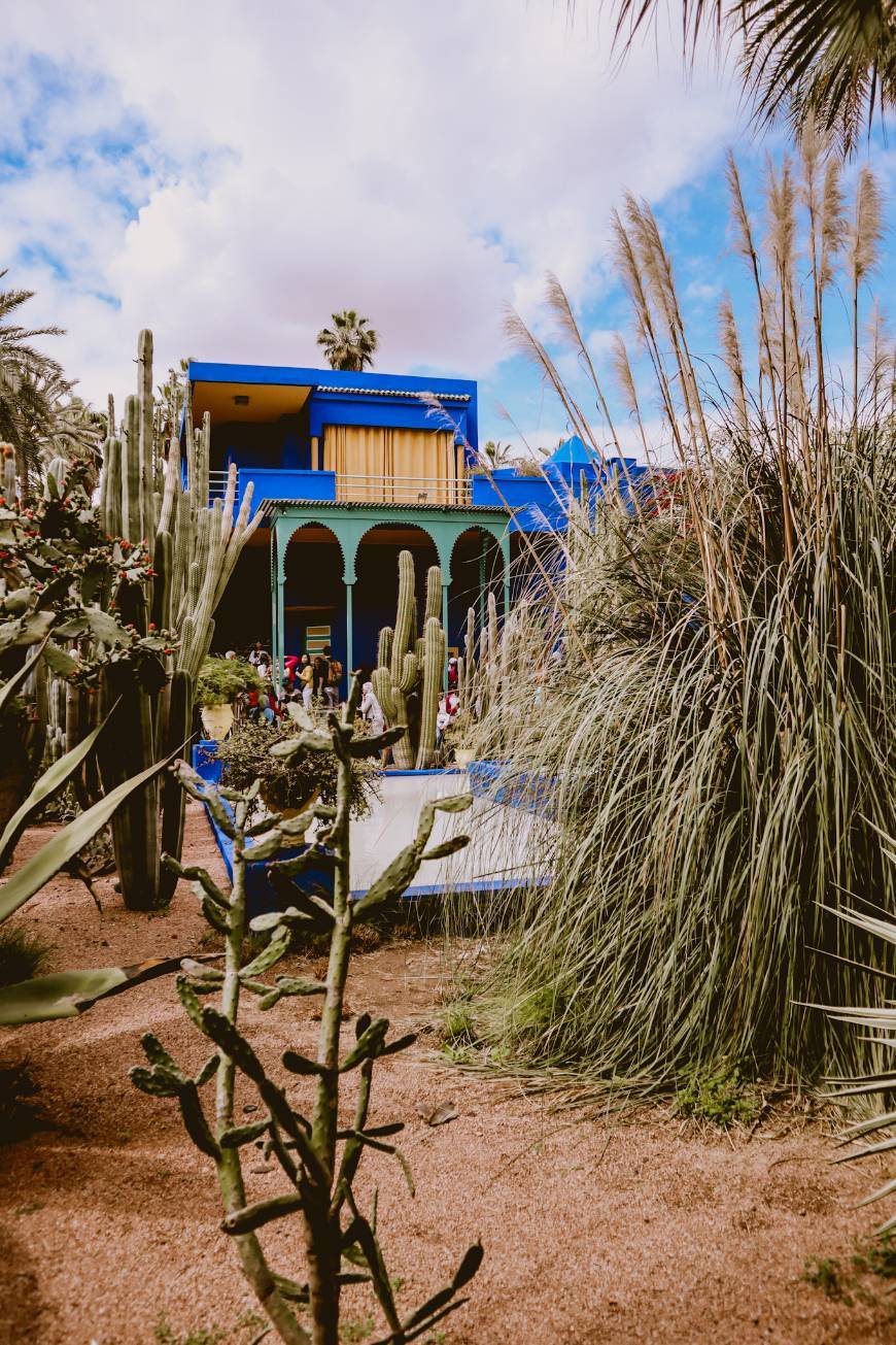 Place Le jardim Majorelle