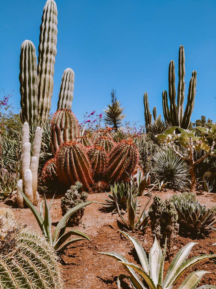 Places Anima (André Heller Garden)