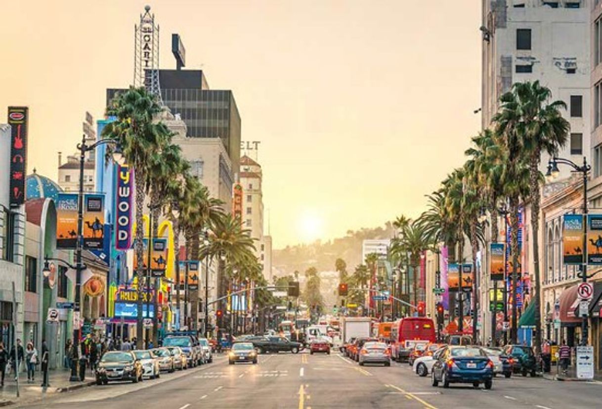 Place Hollywood