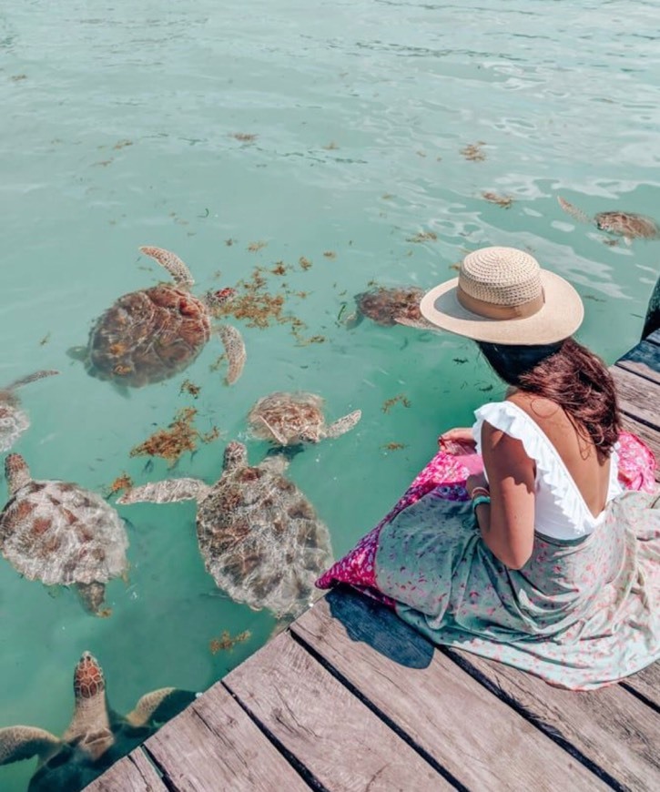 Lugar Cancún