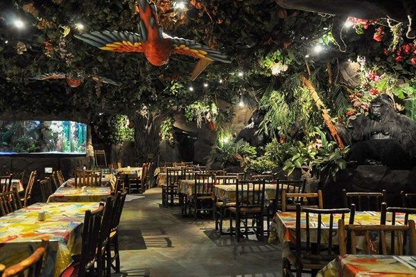 Restaurants Rainforest Cafe