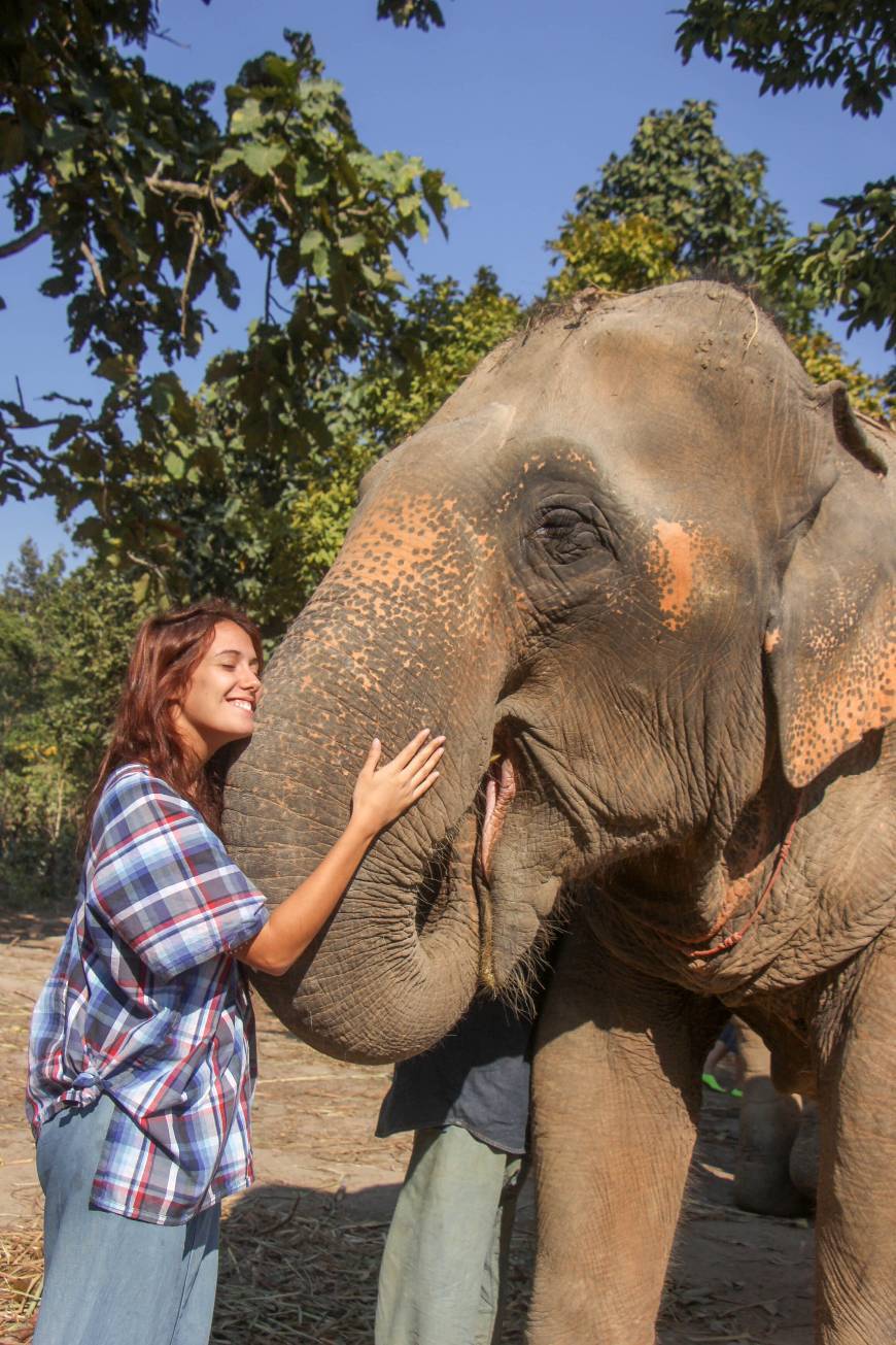 Place Chiangmai Elephant Sanctuary