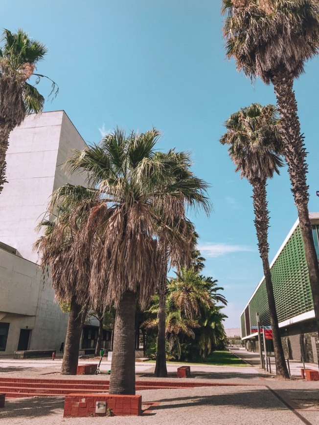 Lugar Parque de las Naciones