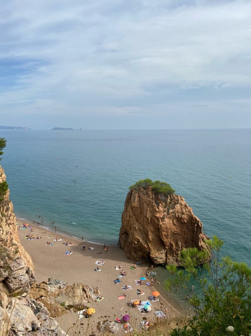 Lugar Playa Illa Roja