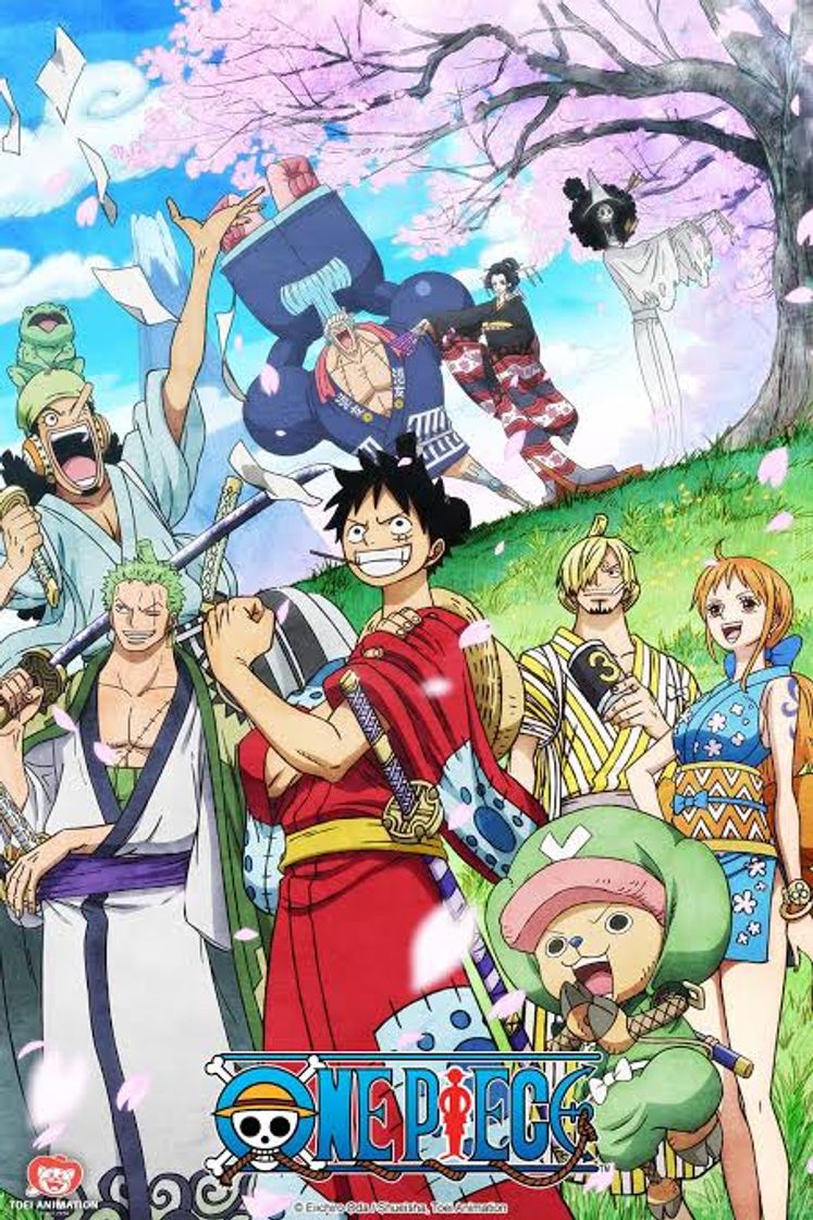 Serie One Piece 