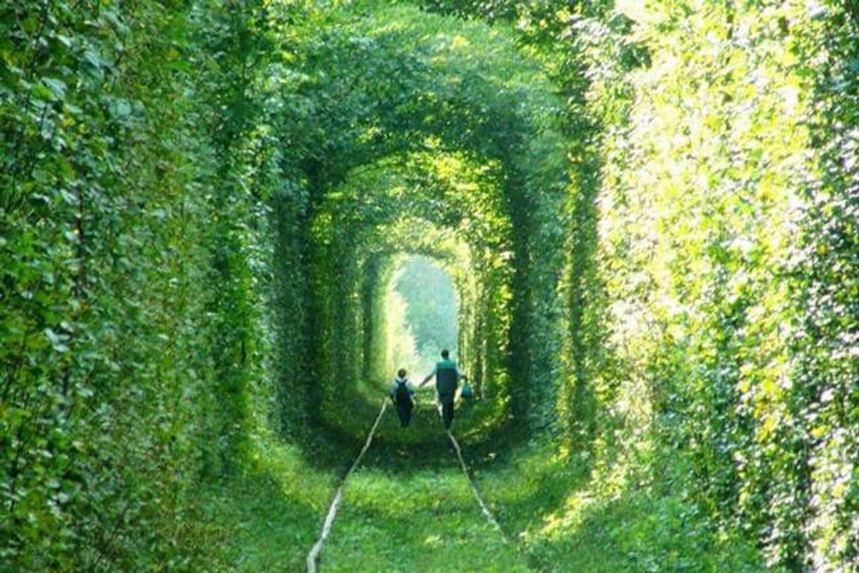 Fashion Túnel do amor - Ucrânia 