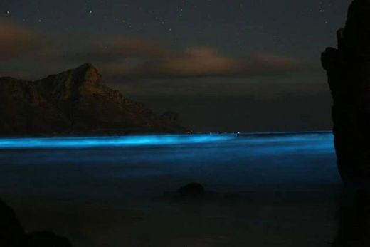 As ondas fluorescentes nas Maldivas