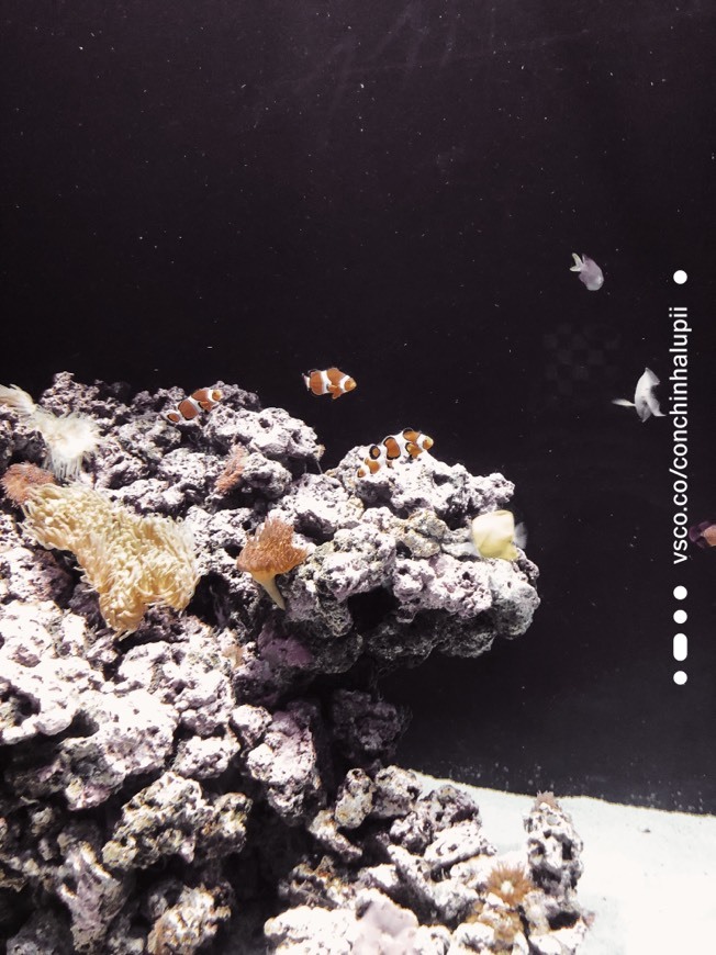 Oceanario de Lisboa