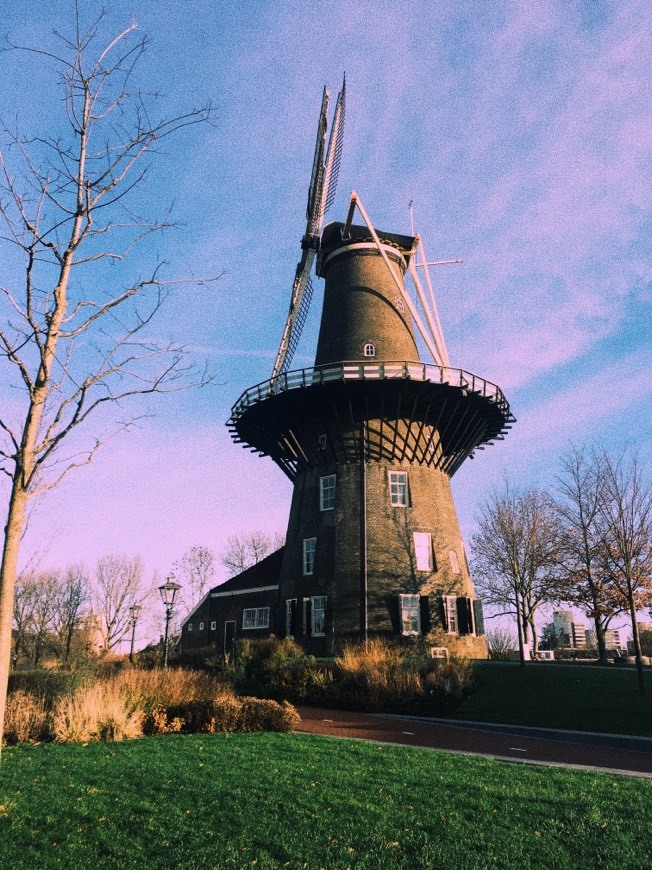 Leiden