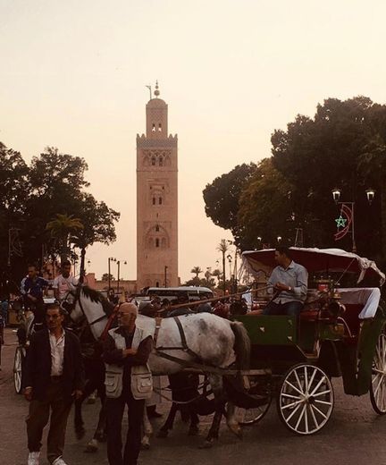 Place Marrakech