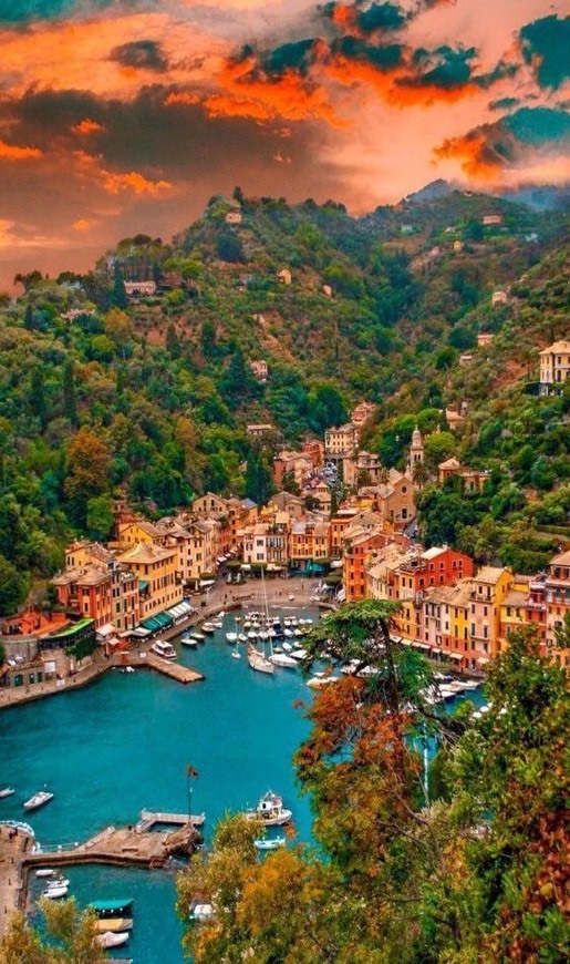 Place Portofino, Italy