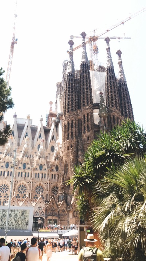 Lugar Basílica Sagrada Familia