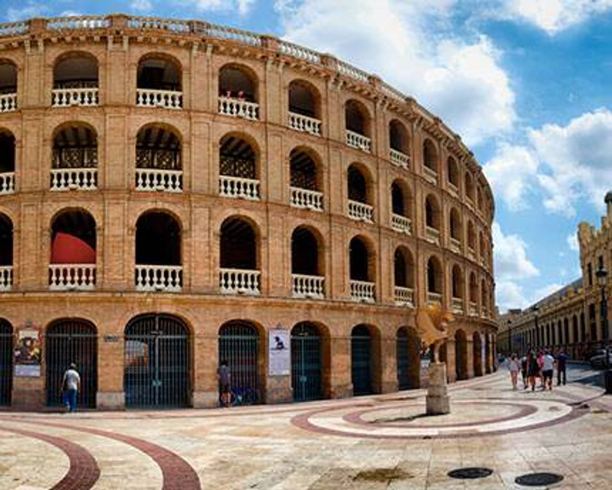 Place Plaza de Toros de Valencia