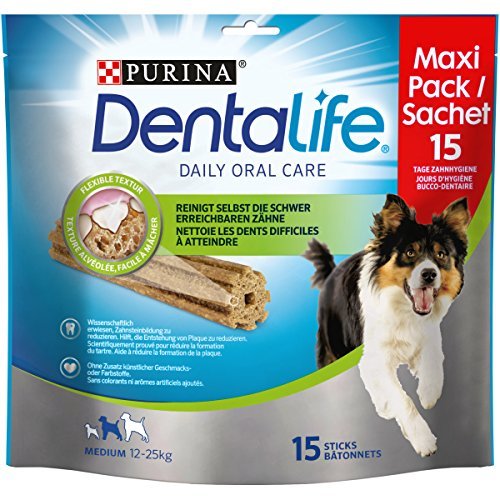 Producto Purina DentaLife