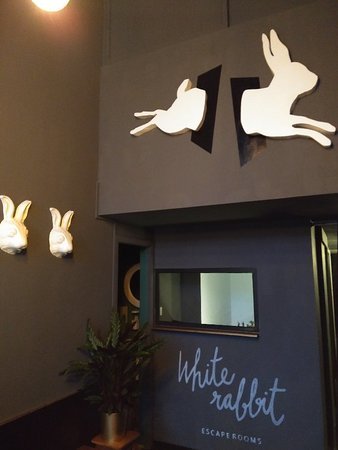 Lugar white rabbit escape rooms