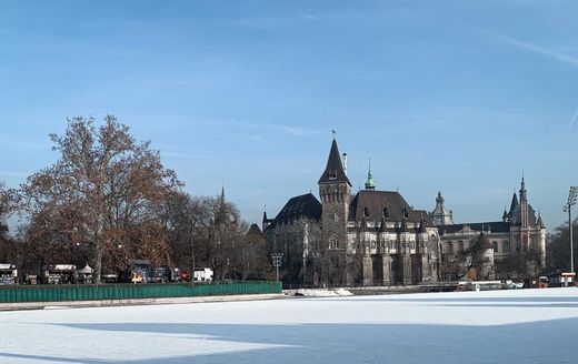 City Park Ice Rink