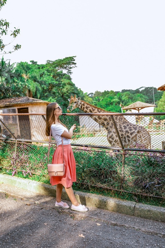 Lugar Zoológico de São Paulo