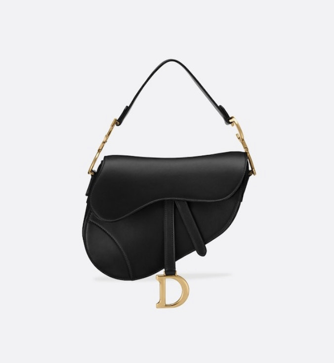 Dior saddle