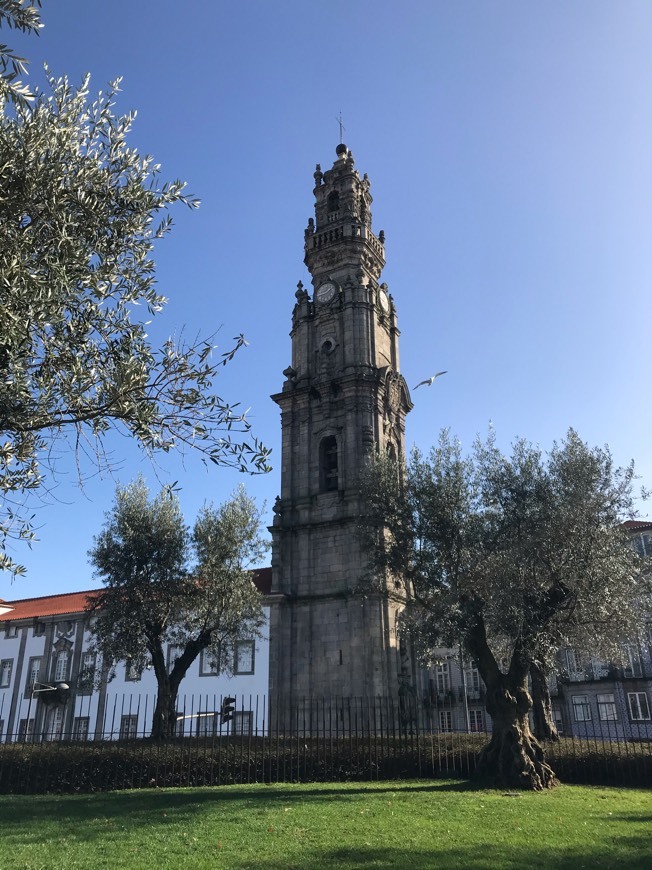 Lugar Clérigos Tower