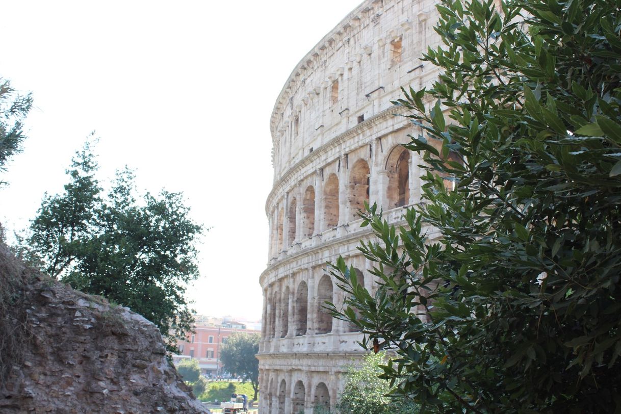 Place Coliseo de Roma