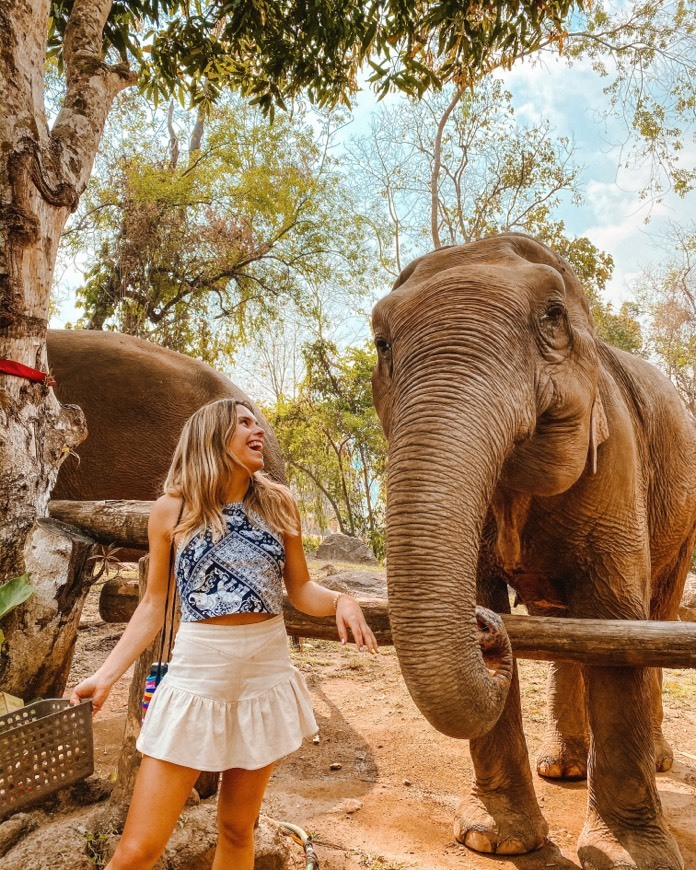 Place Elephant Nature Park