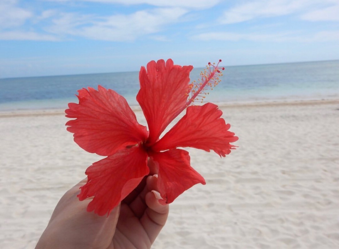 Place Catalonia Bavaro Beach, Golf & Casino Resort